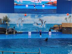 -石林冰雪海洋世界