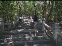 -灵岩山风景区