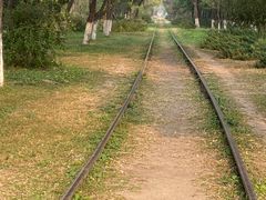 -永定河休闲森林公园