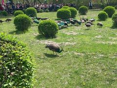 -沈阳鸟岛