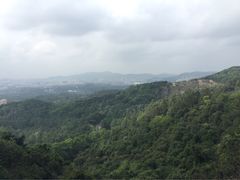 iphone_upload_pic-火炉山森林公园