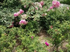 -水上乐园·欢乐世界