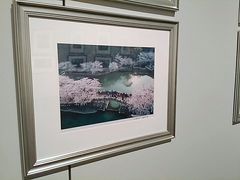 -江苏省美术馆(长江路新馆)