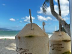 -三亚太阳湾柏悦酒店