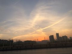 -芋香缘tarosweet(1天地店)