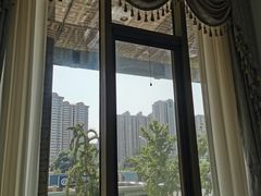 -食神鱼头佛跳墙(百子湾旗舰店)