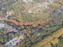 -紫金山山顶公园