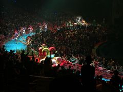 -珠海横琴长隆《卡卡虎奇遇记》