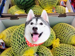 -农工商超市(金沙江路店)