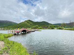 -洮儿河国家湿地公园