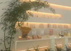 -紫琪尔·匠心连锁·胸部护理养护