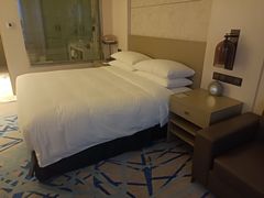 -上海漕河泾万丽酒店