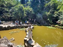 -梭布垭石林景区