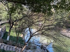 -花中城·杭帮菜·粤菜·海鲜火锅(清泰街店)