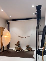 点击看大图 -桔子摄影(马鞍山店)