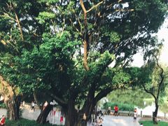 -人民公园(罗湖区)