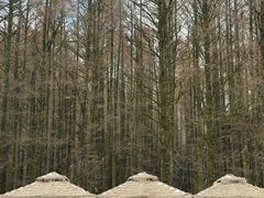 -山王坪喀斯特国家生态公园