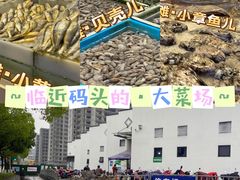 -白沙菜市场