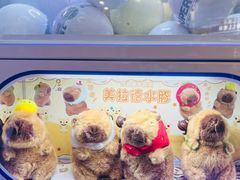-沈阳铁西万象汇