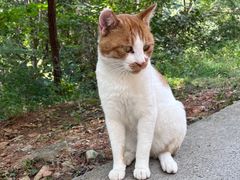 -北京西山国家森林公园