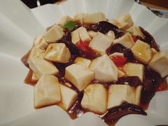 -素虎小呆鸟(西二旗店)