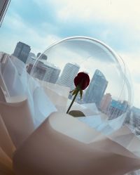 -大美母婴月子中心