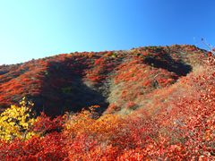 -水峪民俗村