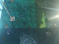 -广东惠东海龟国家级自然保护区