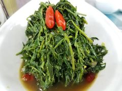 养生枸杞苗-老毛手抓·盐池滩羊非遗手抓(宁夏总店)