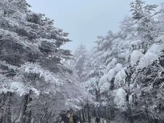 -峨眉山风景名胜区