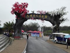 -天适樱花悠乐园