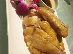 -碧丽宫大酒店(召稼楼店)