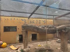 -青藏高原野生动物园