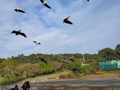 -深圳野生动物园