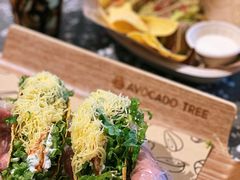 -油梨树AVOCADO TREE(嘉里中心店)
