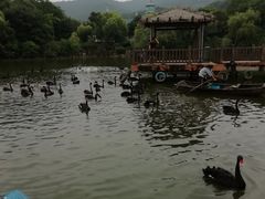 -无锡动物园·太湖欢乐园