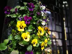 -回龙窝历史文化街区