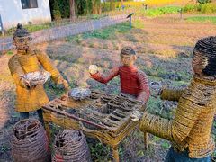 -溱湖国家湿地公园