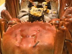 -王宝和酒家(黄浦店)