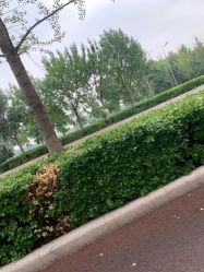 -HEYAN长风荷妍专业脱毛美肤
