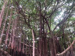 -胡里山炮台