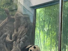 -武汉动物园