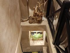 -耳艺采耳·足疗(东圃店)