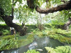 -Chom Cafe and Restaurant