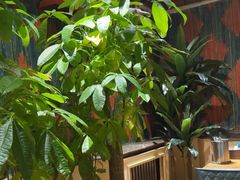 -海尔巴格一甸茶餐厅新疆菜(青年路店)