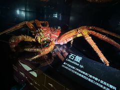 -同济大学四平路校区深海探索馆