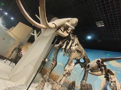 -国家自然博物馆