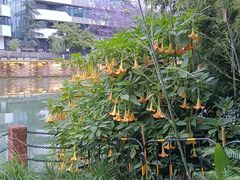 -成都市活水公园