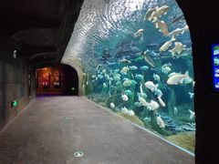 -波塞冬海底世界