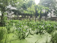 -湖北美术学院(昙华林校区)